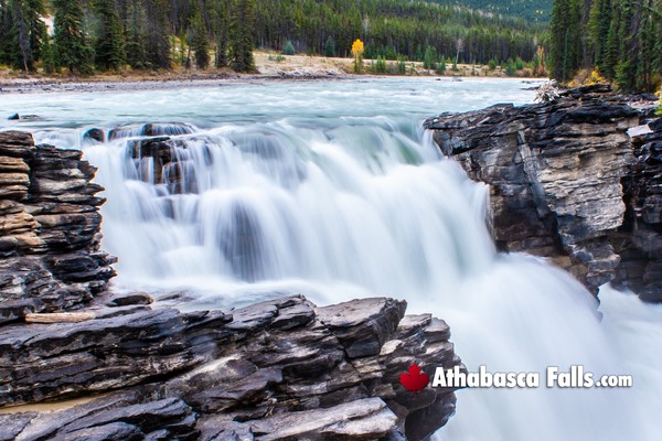Athabasca Falls During December