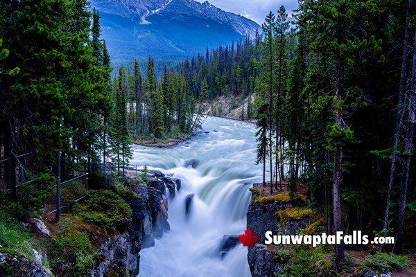 Sunwapta Falls in December